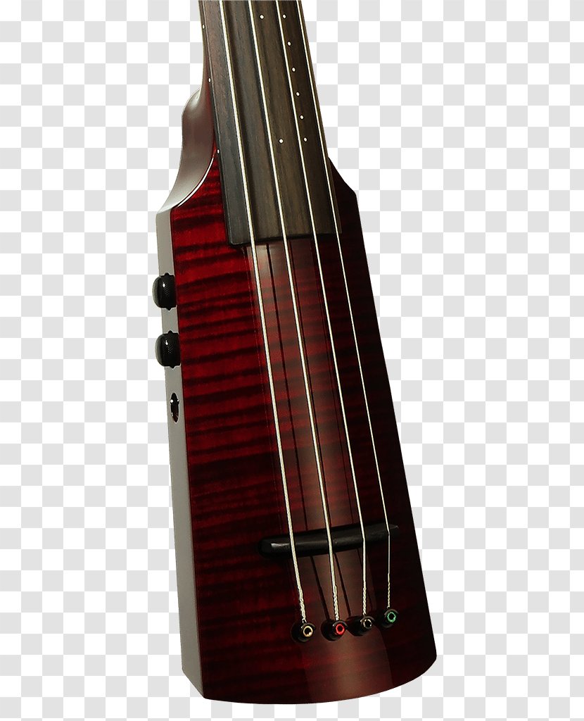 Violone Double Bass Cello Guitar Amplifier - Musical Instrument - Omni Transparent PNG