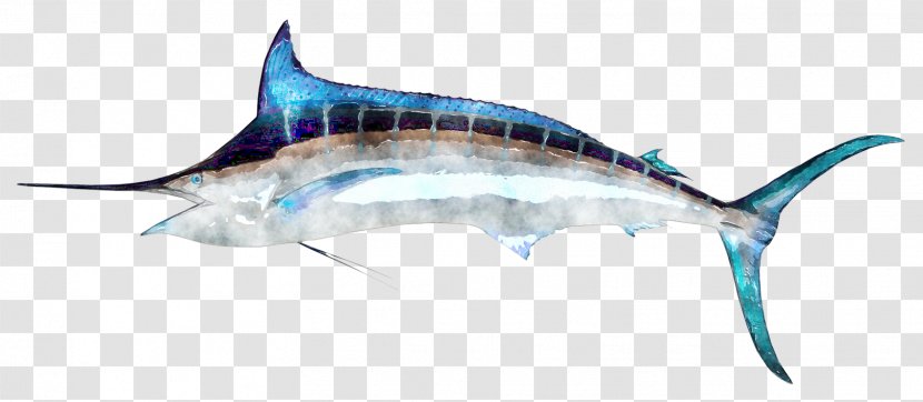 Swordfish Billfish - Dolphin - Watercolor Elk Transparent PNG