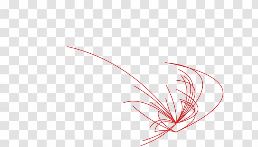 Line Point - Wing - Flight Path Transparent PNG