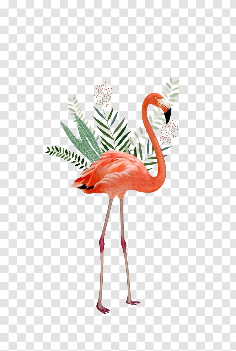 Flamingos Painting Illustration - Vertebrate - Crane Transparent PNG