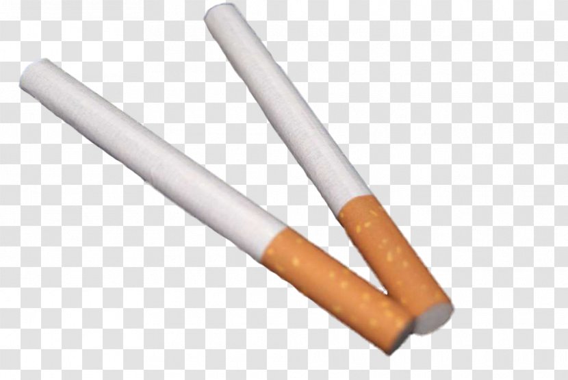 Cigarette Tobacco Nicotine - Flower - Two Cigarettes Transparent PNG