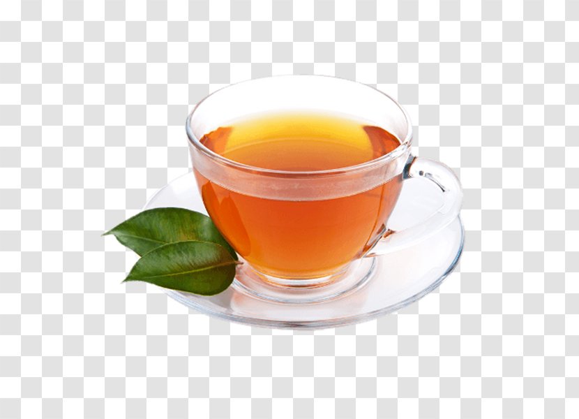Green Tea Cup Clip Art - Herbal - Fresh Of Transparent PNG