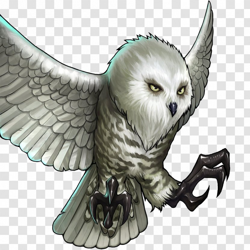 Snowy Owl Bird Barn Beak - Fictional Character Transparent PNG