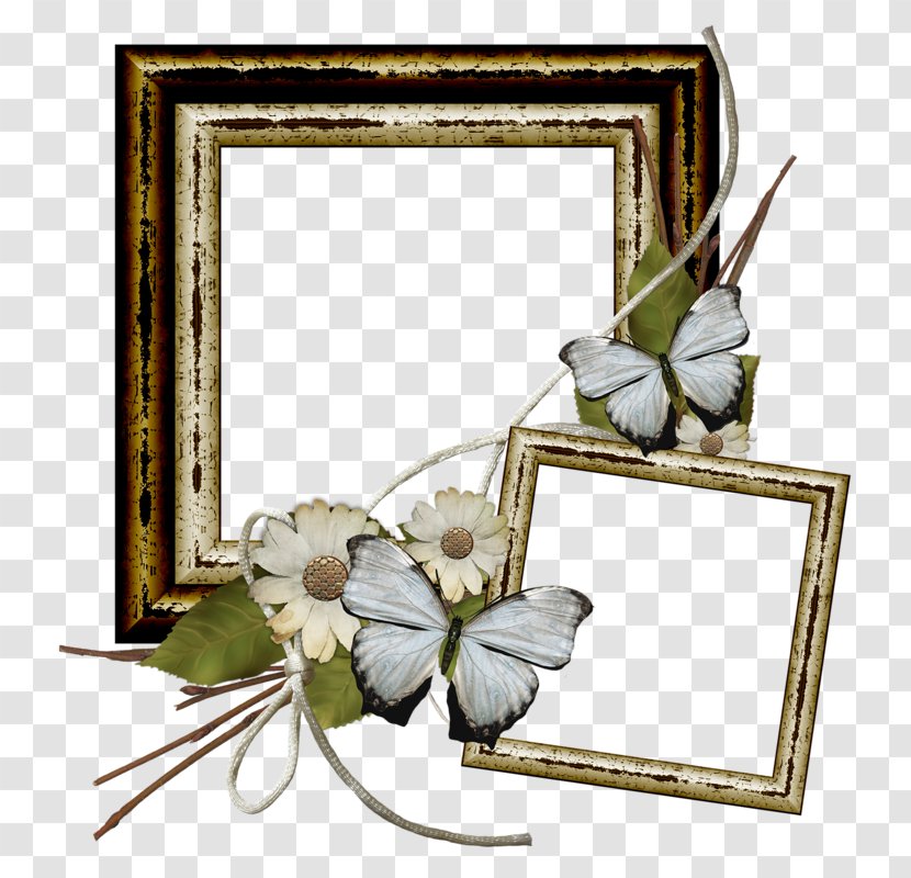 Floral Design Picture Frames Flower - Arranging - Mom Frame Transparent PNG