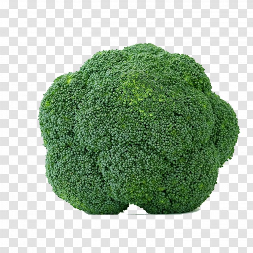 Organic Food Leaf Vegetable Broccoli - Seed Transparent PNG