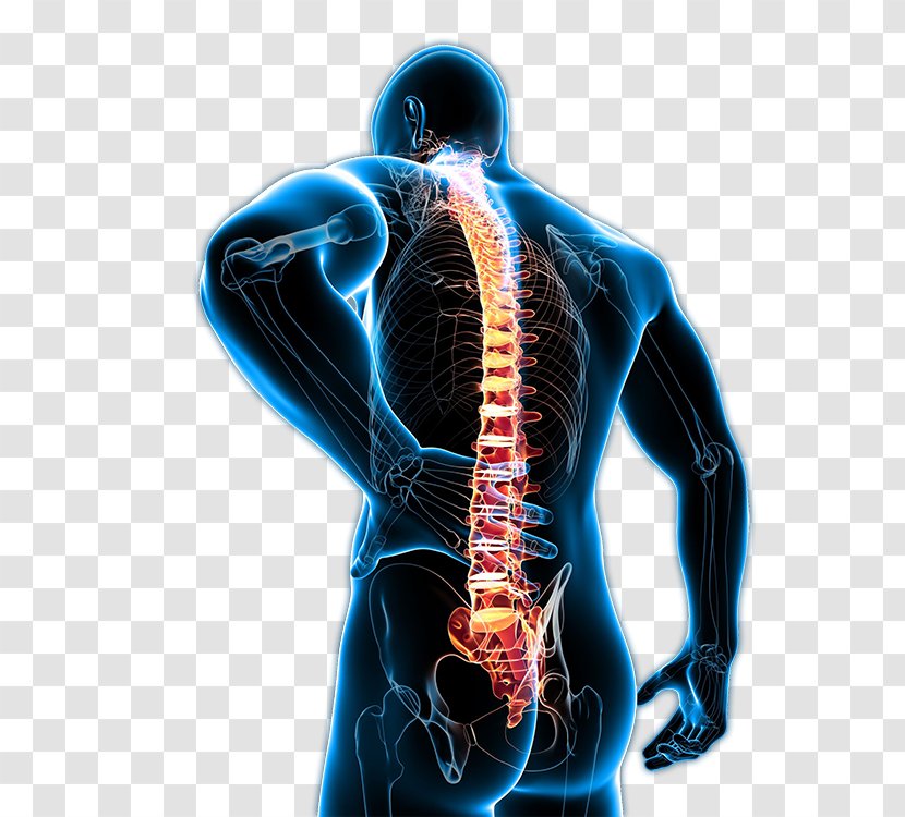 Low Back Pain Management Human Neck Chronic - Cartoon Transparent PNG