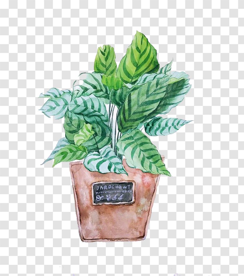 Watercolor Painting Clip Art - Creative Work - Plants Transparent PNG
