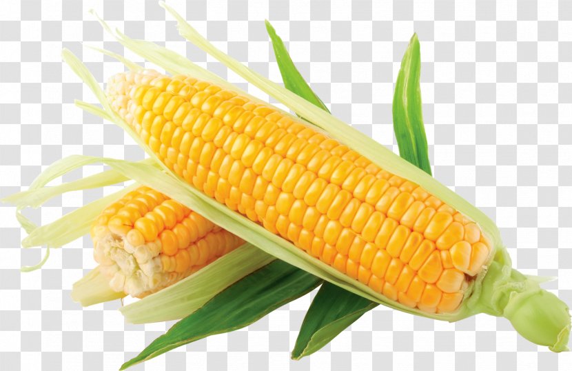 Corn On The Cob Popcorn Flint Sweet - POP CORN Transparent PNG