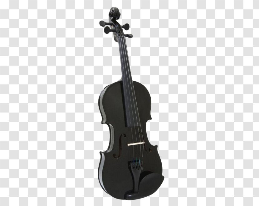 Bass Violin Cello Viola - Flower Transparent PNG