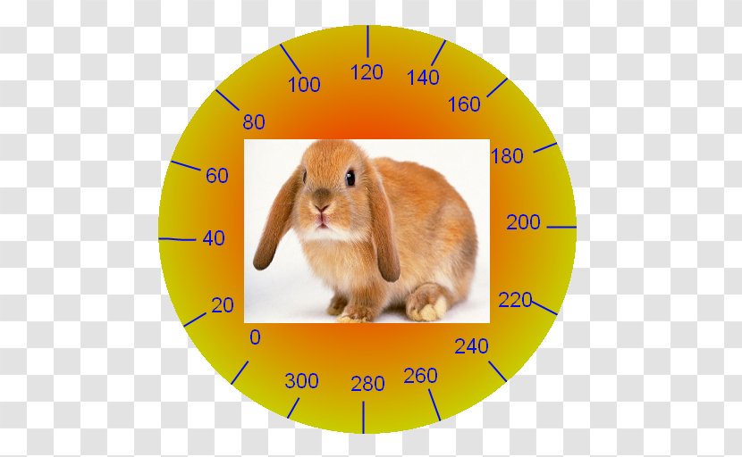Domestic Rabbit Leporids Easter Map - Speedometers Transparent PNG