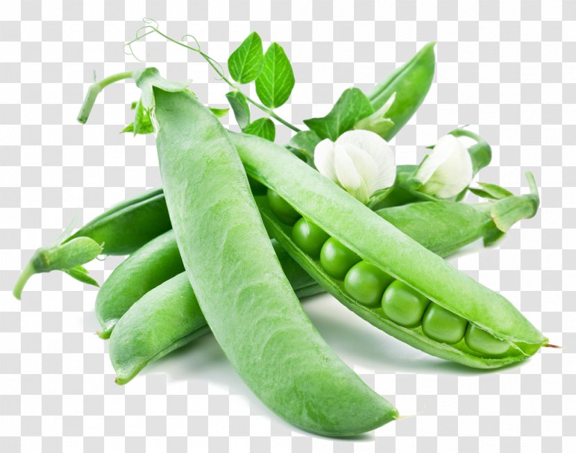 Snow Pea Vegetable Snap Seed Protein Transparent PNG
