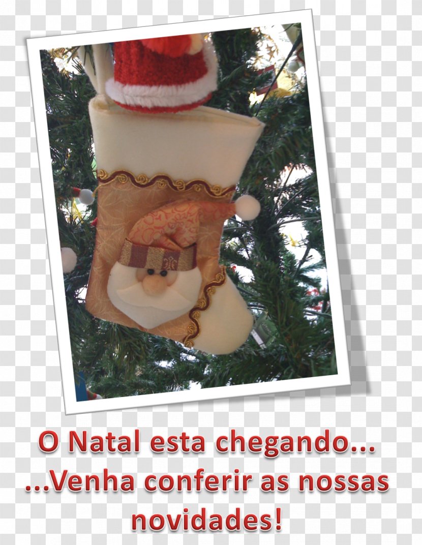 Christmas Ornament Universidad Alfa & Omega Campus Venustiano Day Character University - Fictional - Eucaristia Simbolo Transparent PNG