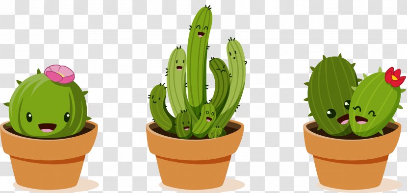 Cactaceae Drawing Clip Art - Doodle - Vector Potted Cactus Transparent PNG