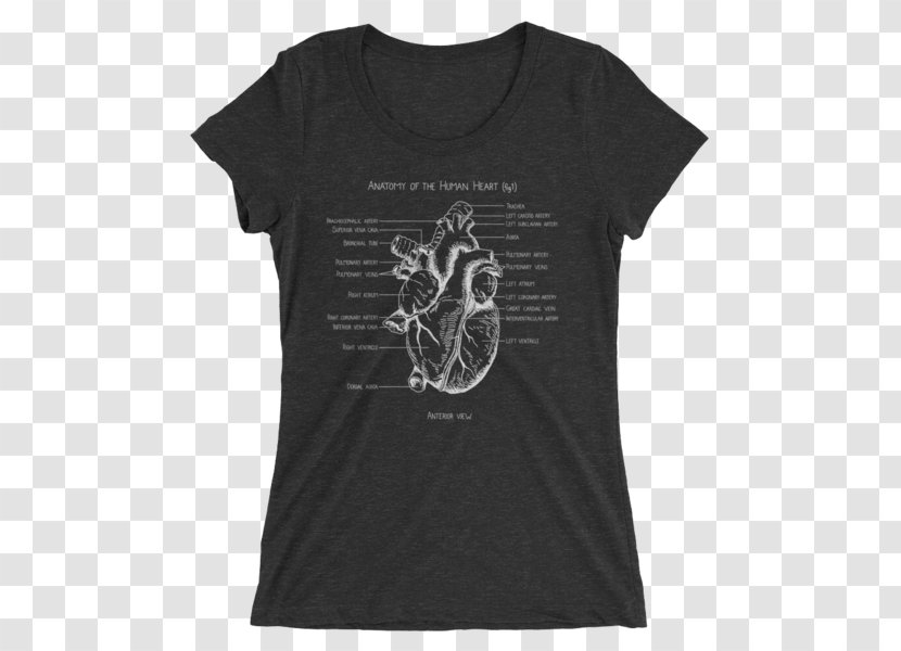 T-shirt Clothing Sleeve Neckline - Shirt - Anatomical Heart Transparent PNG