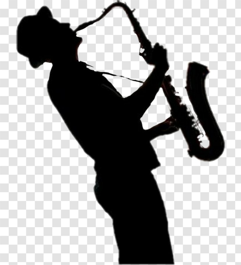 Music Cartoon - Musical Instrument - Reed Silhouette Transparent PNG