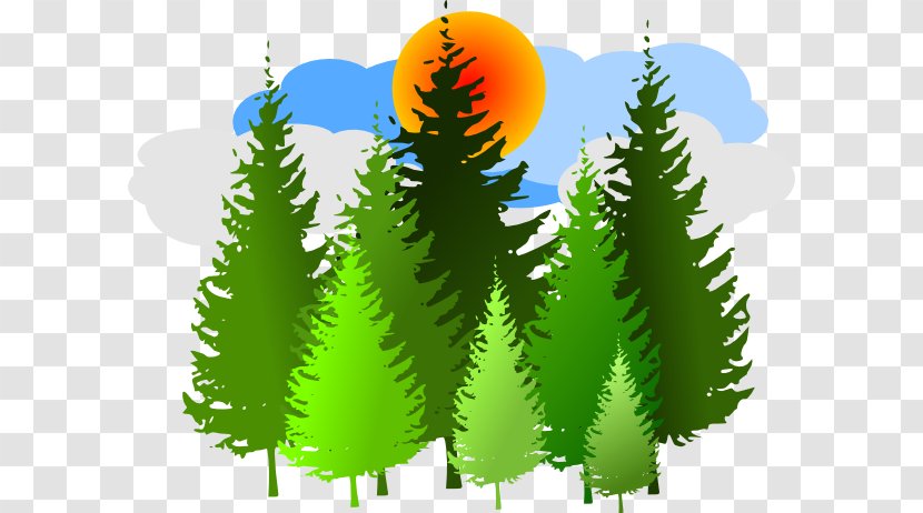 Temperate Coniferous Forest Free Content Clip Art - Stockxchng - Green Trees Clipart Transparent PNG