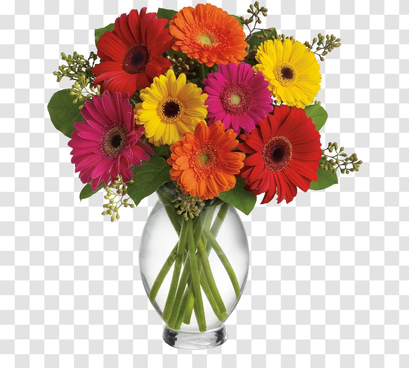 Transvaal Daisy Flower Bouquet Cut Flowers Floristry - Gift Transparent PNG