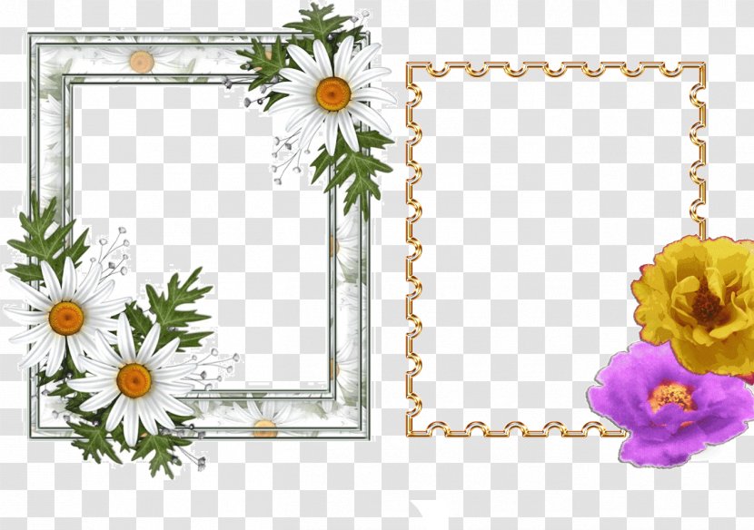 Floral Design Picture Frames Cut Flowers Pattern - Flowering Plant - Merchants Of Doubt Transparent PNG
