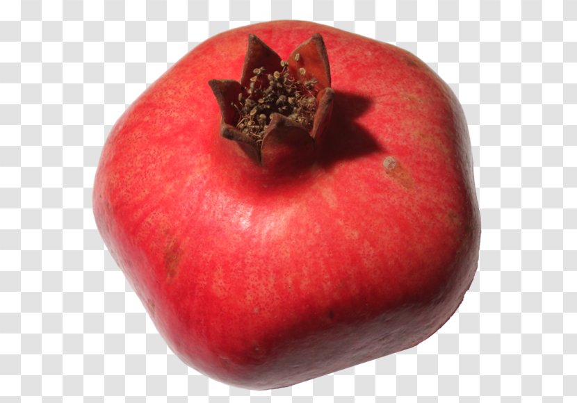 Pomegranate Juice - Image Resolution Transparent PNG