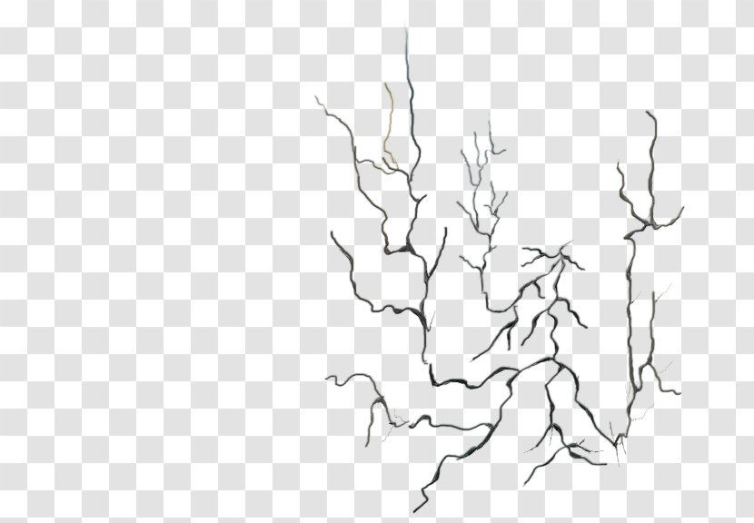 Computer Software Adobe After Effects - Tree - Wall Crack Transparent PNG