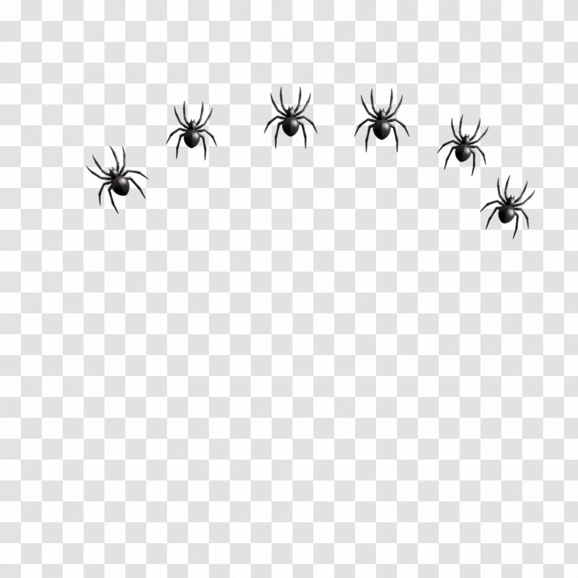 Spiders Cartoon - Text - Arachnid Blackandwhite Transparent PNG
