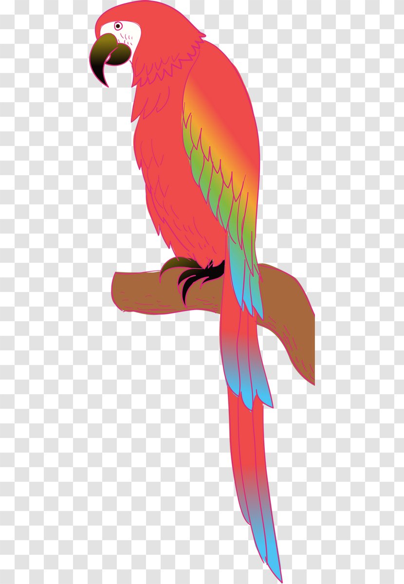 Macaw Parrot Parakeet Budgerigar Bird - Wing Transparent PNG