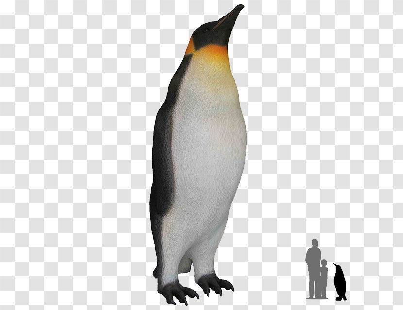 King Penguin Bird Antarctica - Penguins Transparent PNG
