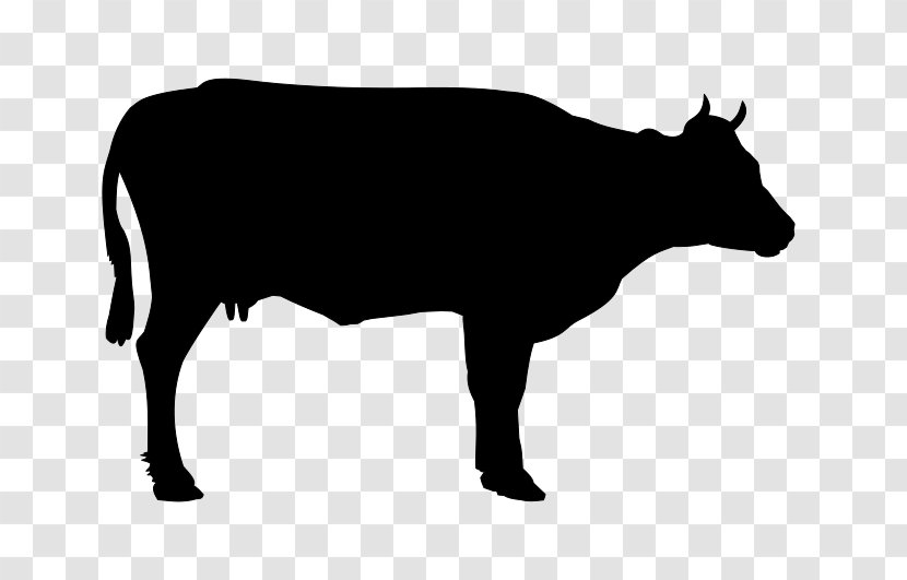 Holstein Friesian Cattle Welsh Black Angus Beef Hereford - Cow Transparent PNG