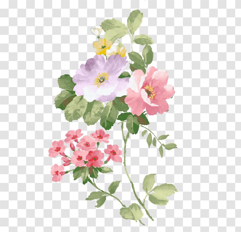 Watercolour Flowers Watercolor Painting - Rosa Canina - Flower Transparent PNG