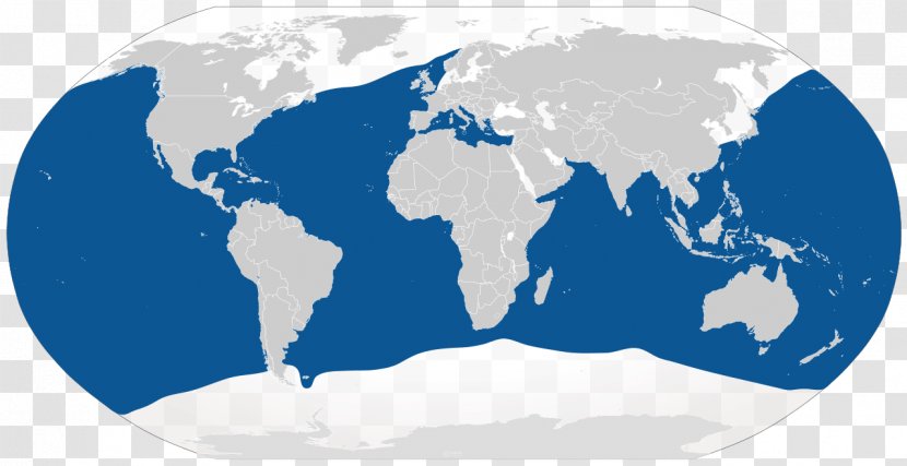 Blue Shark Great White Basking Tiger - Earth Transparent PNG