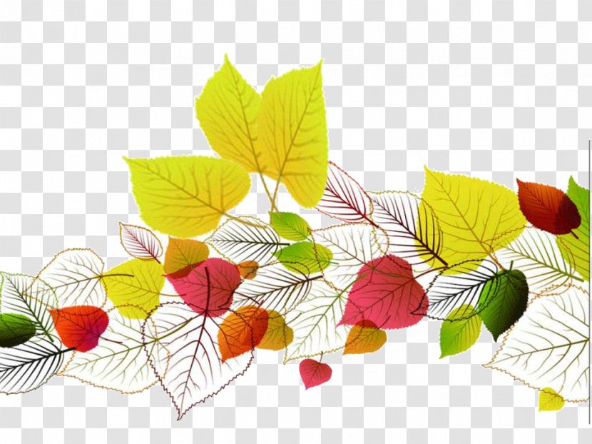 Autumn Leaf Color Euclidean Vector - Leaves PPT Templates Transparent PNG