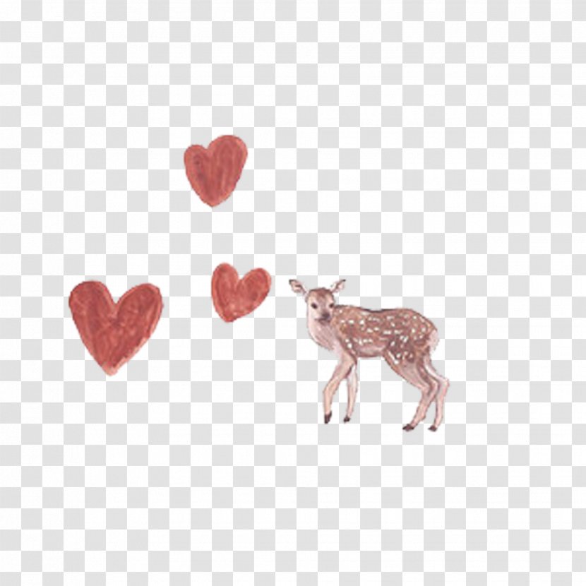 Deer Wallpaper - Sika - Love Transparent PNG