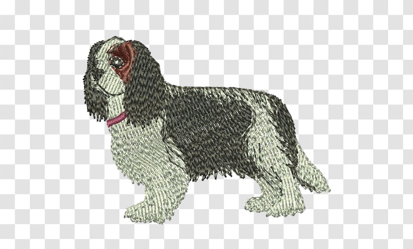 Dog Breed Spanish Water Sporting Group Spaniel - Crossbreed - Cavalier King Charles Transparent PNG