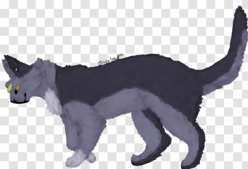 Whiskers Dog Breed Cat Fauna - Groupm Transparent PNG