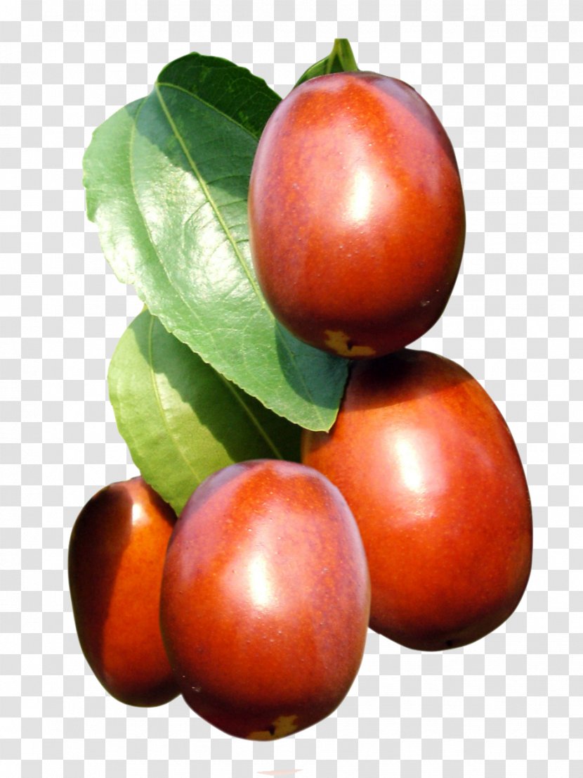 Indian Jujube Fruit Tree Auglis - Good Texture Of Fresh Child Transparent PNG