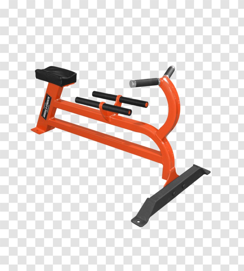 Exercise Machine Bent-over Row Bench Dumbbell - Physical Fitness - Strength Training Transparent PNG