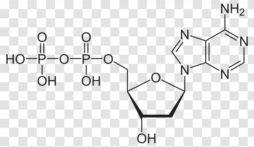 Adenosine Diphosphate Triphosphate Molecule Pyrophosphate - Auto Part - 1deoxydxylulose 5phosphate Transparent PNG