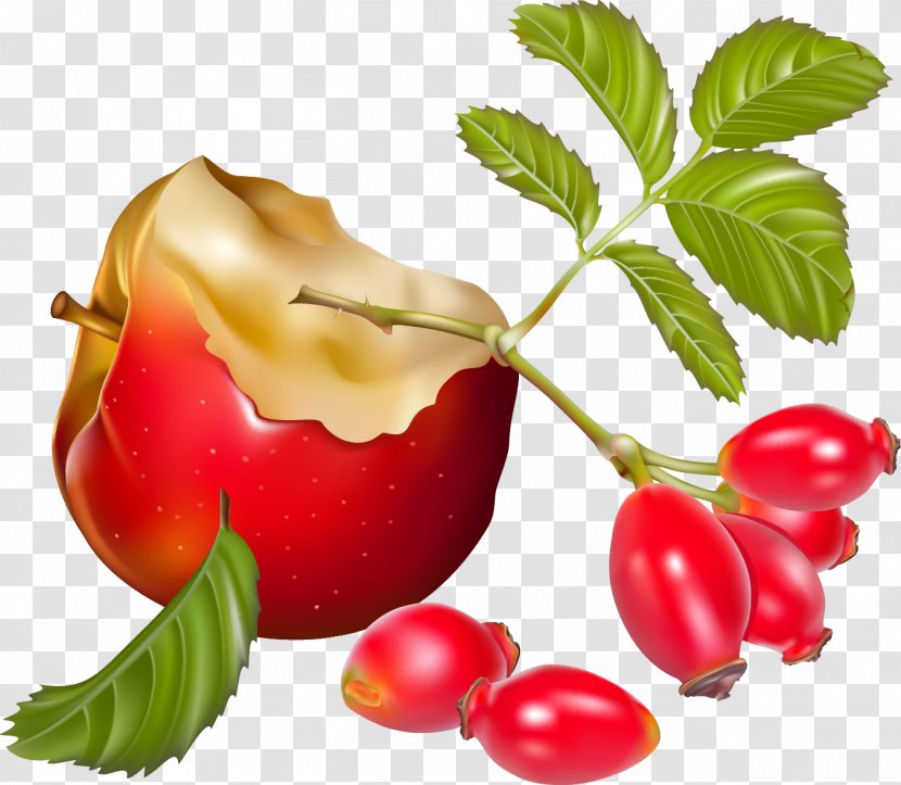 Apple Barbados Cherry Food Fruit Image Transparent PNG