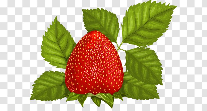 Strawberry Ice Cream Juice Fruit Clip Art - West Indian Raspberry - Splash Transparent PNG