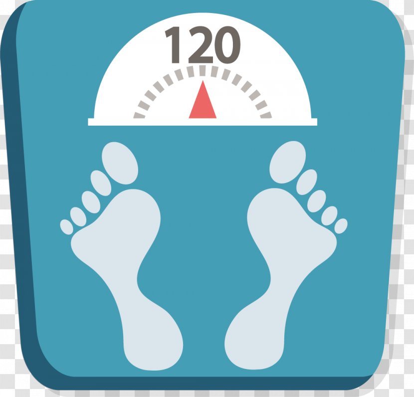 Weight Android Application Package Body Mass Index - Basal Metabolic Rate - Flat Scale Transparent PNG