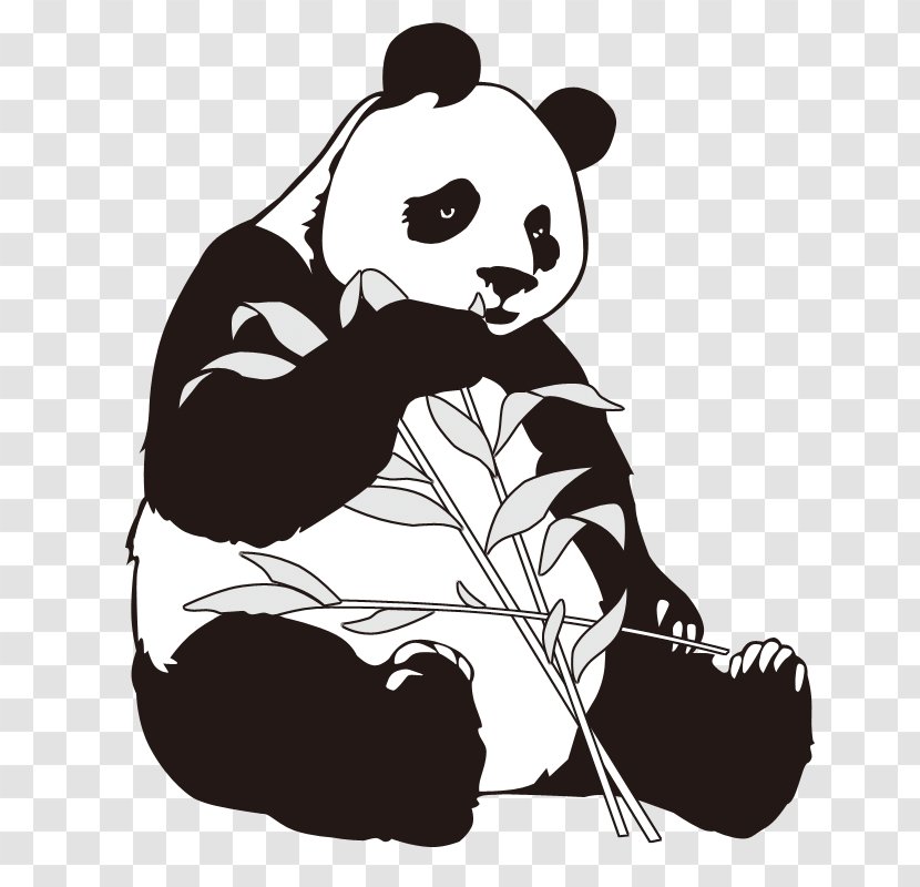 Giant Panda Bamboo Clip Art - Mammal - Cartoon Transparent PNG