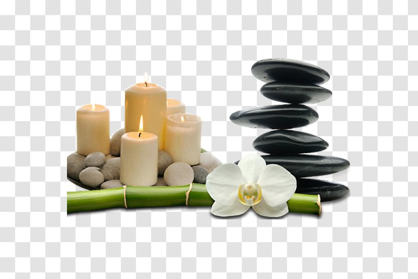 ZENJU DAY SPA BALLITO Serenity Massage Therapy - Aromatherapy - Beauty Studio Transparent PNG