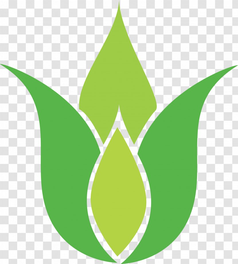 Symbol Leaf Sign Logo Pattern - Tree Transparent PNG