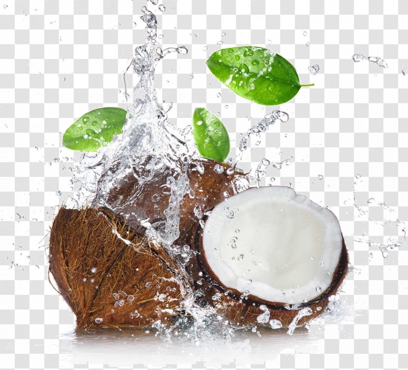 Coconut Water Milk Oil Cocoa Bean Transparent PNG