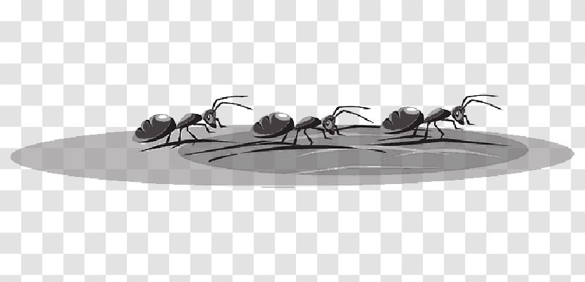 Fire Ant Insect Clip Art - Cartoon Travel Transparent PNG