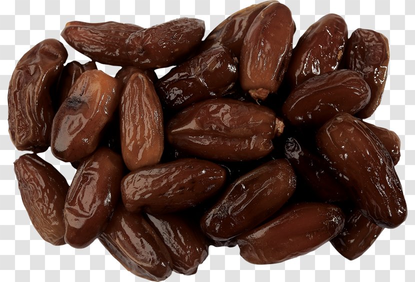 Jujube Date Palm - Cocoa Bean Transparent PNG