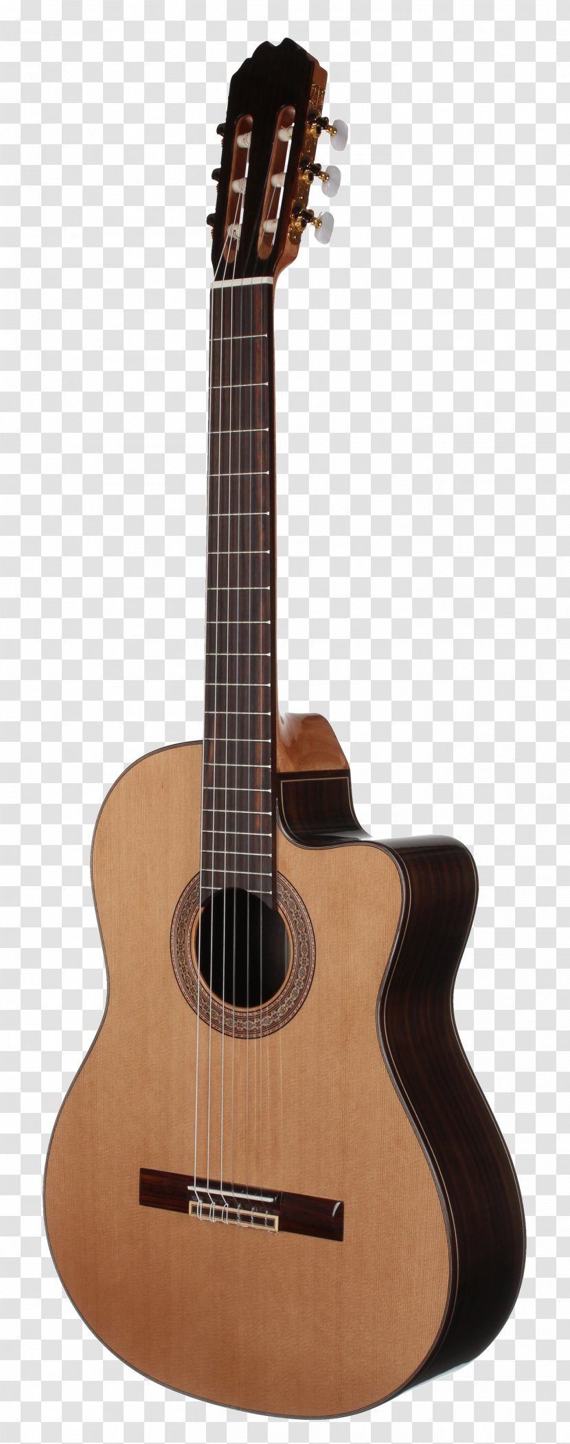 Taylor Guitars Classical Guitar Steel-string Acoustic Musical Instruments - Frame Transparent PNG