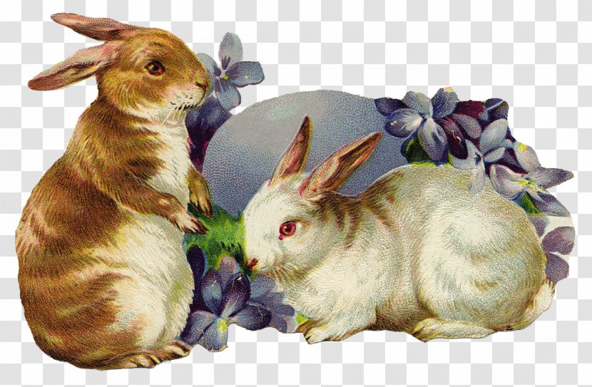 Easter Egg Background - Hare - Figurine Transparent PNG