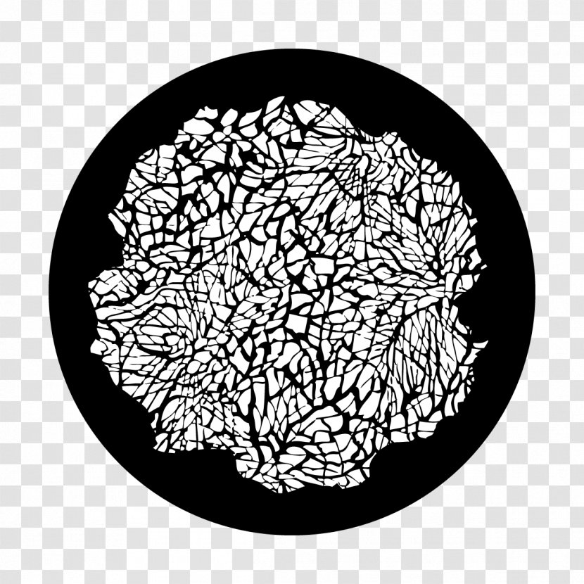 Tree Drawing - Branch - Doodle Tableware Transparent PNG