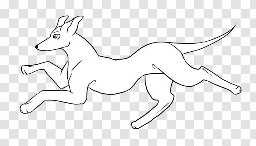 Macropodidae Line Art /m/02csf Drawing Horse - Tail - Greyhound Transparent PNG
